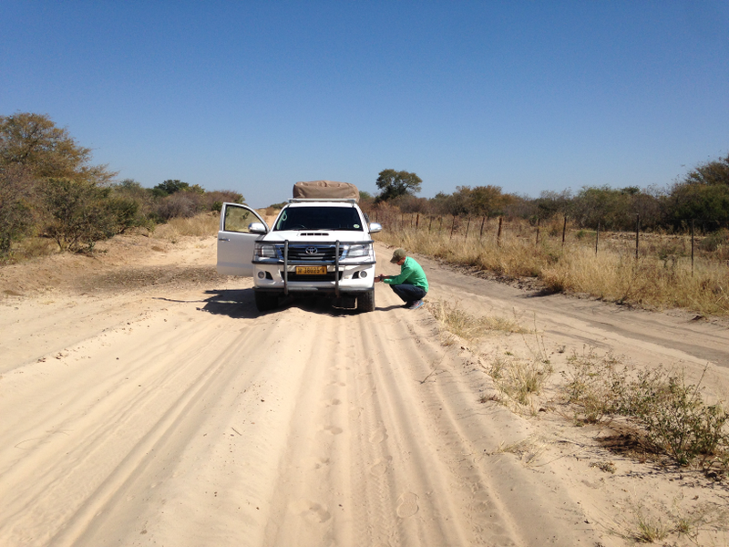 Illustration for article titled African Dreams 1.2: 2013 Toyota HiLux - The O&E Review